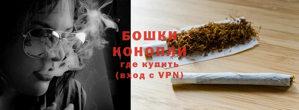 Альфа ПВП Гусев