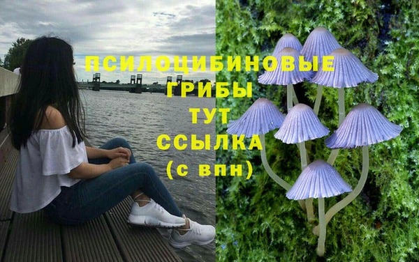 Альфа ПВП Гусев