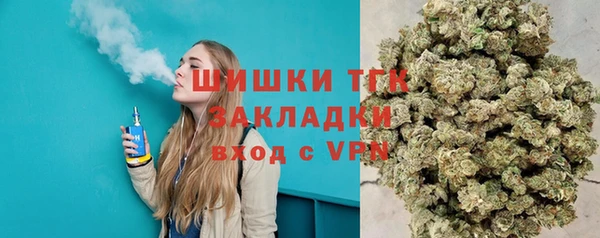 Альфа ПВП Гусев