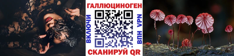 omg как зайти  Ефремов  Псилоцибиновые грибы Cubensis 